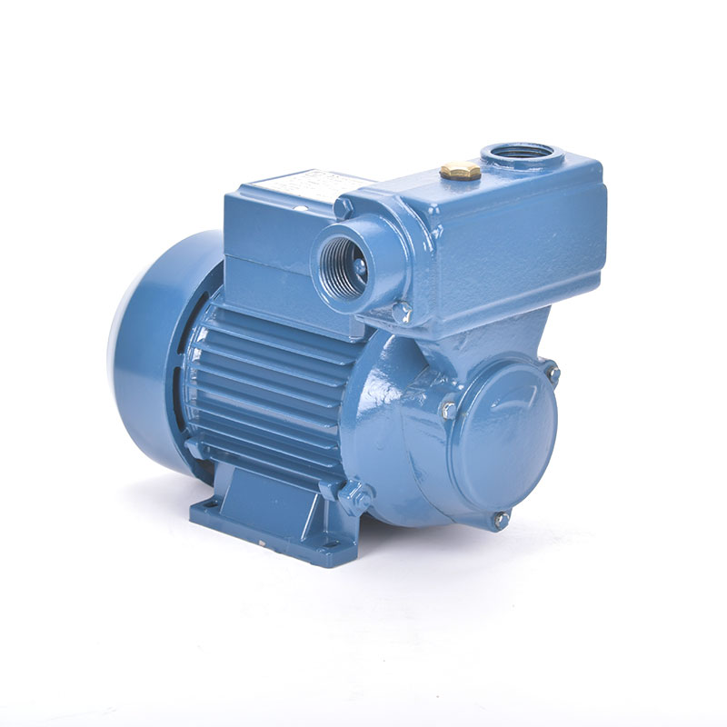 What maintenance practices extend the lifespan of a peripheral pump