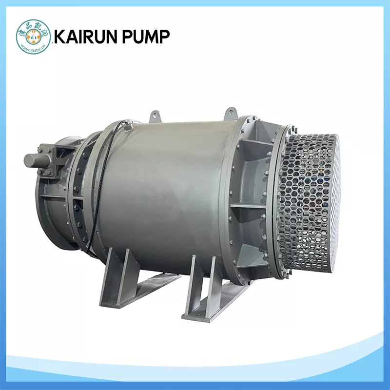 Tubular Pump